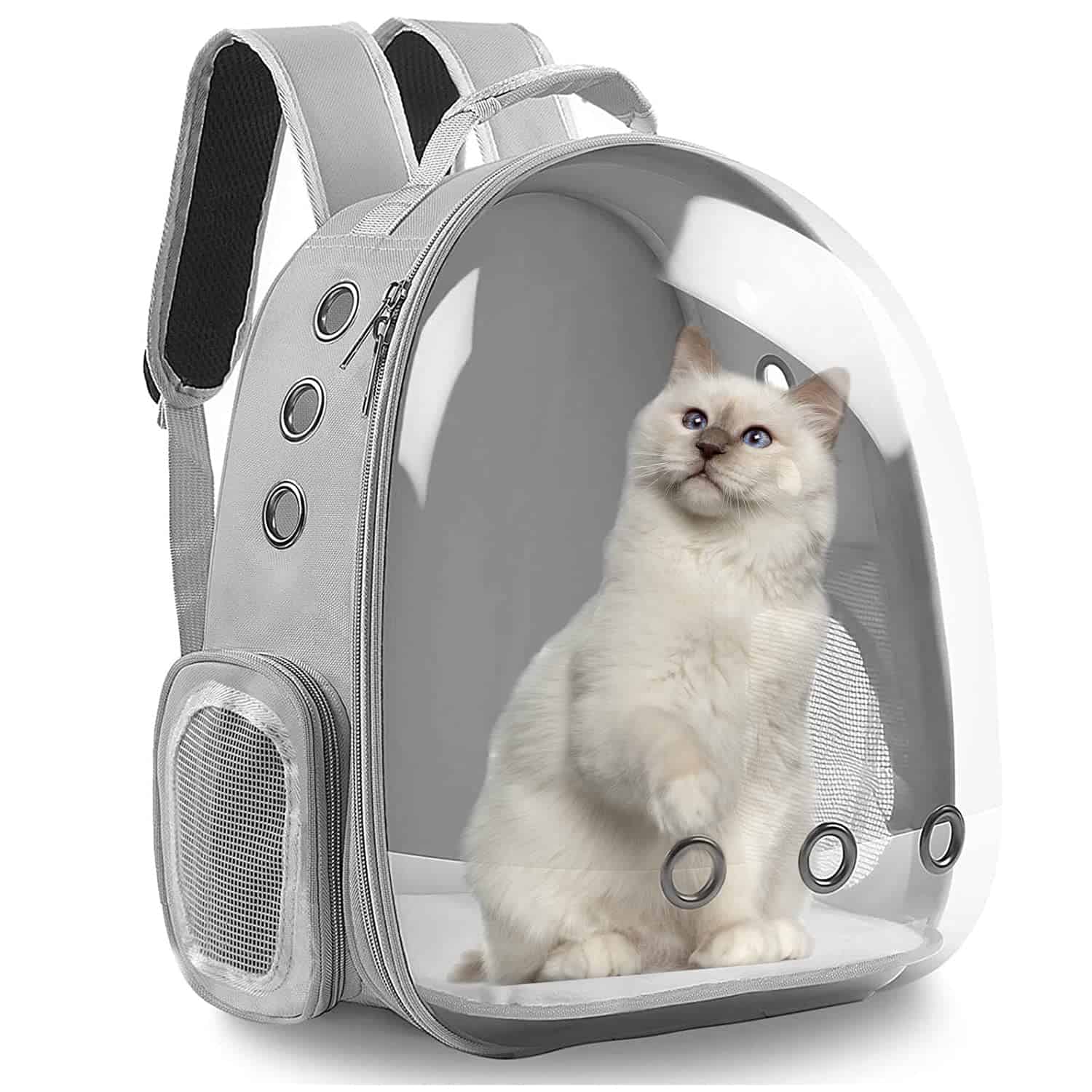 Best Cat Backpacks for Your Feline Friends in 2023