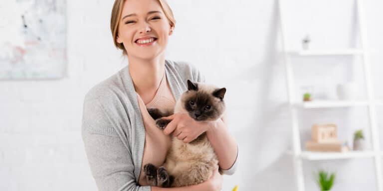Siamese cat beinmg held by woman
