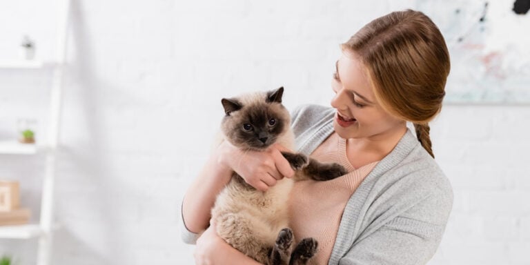 Siamese cat held by woman