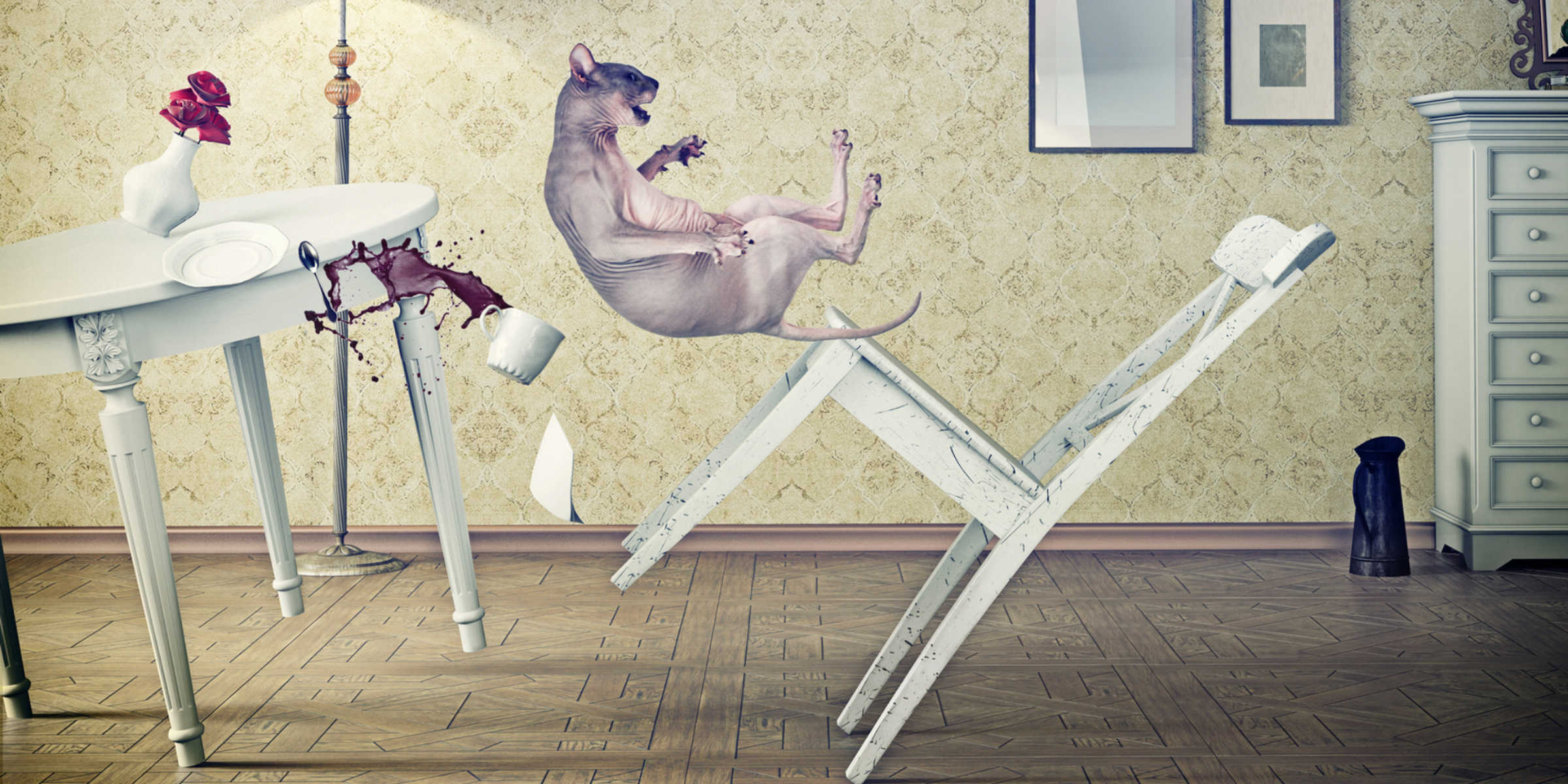 What To Do Why Cats Don't Listen