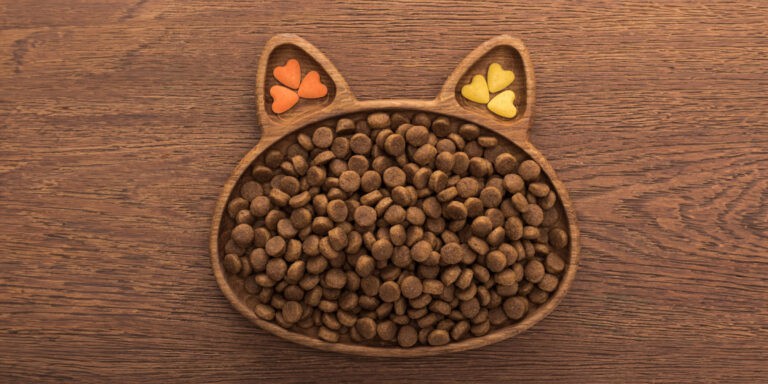 cat dry food