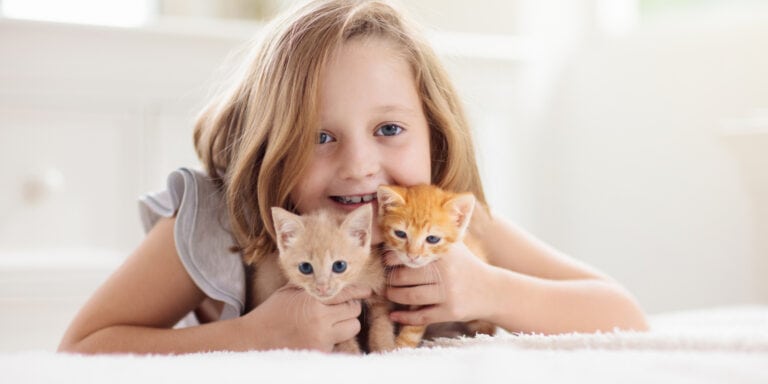 child and kittens