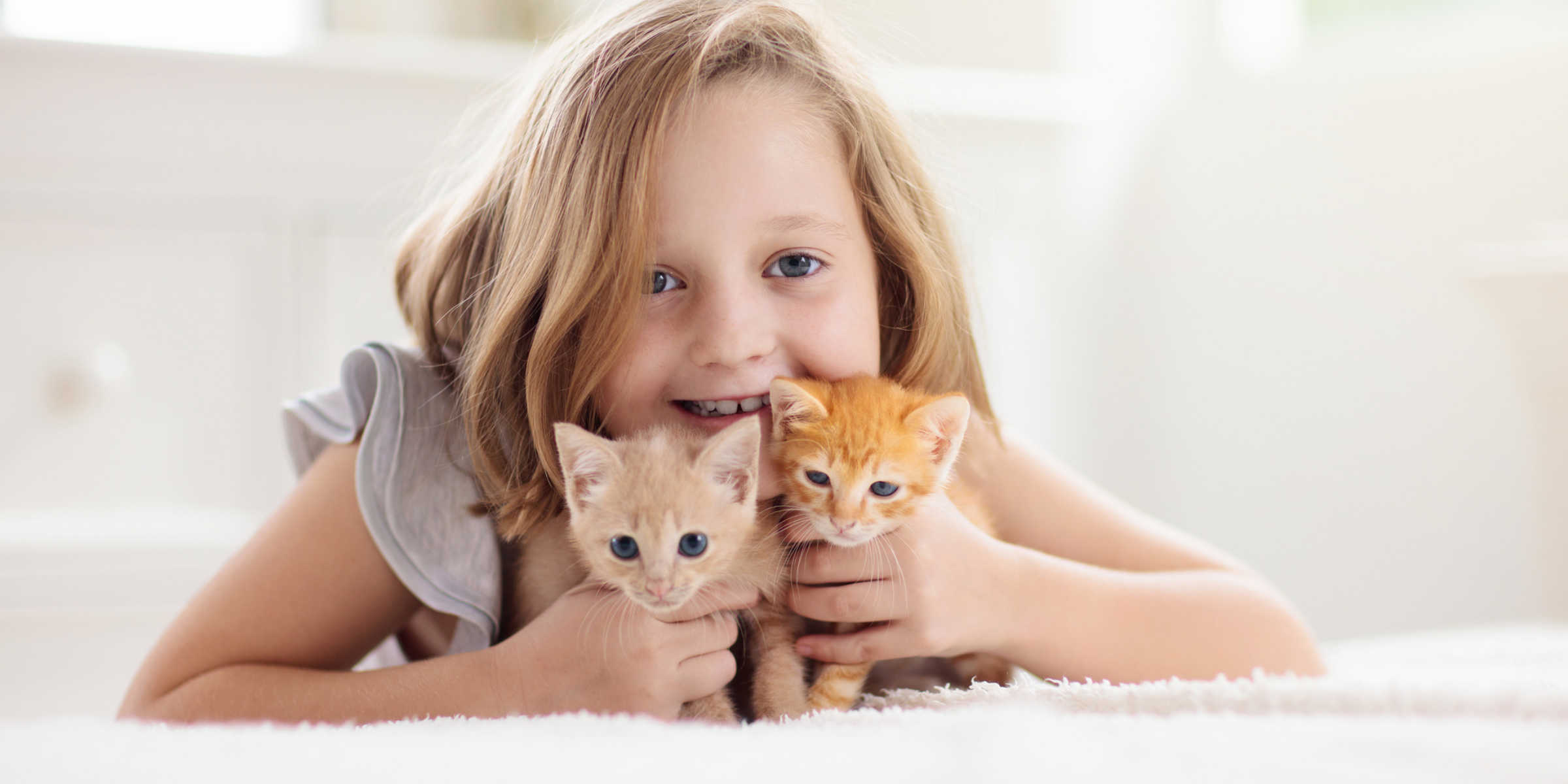 How Long Do Cats Stay Kittens?