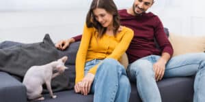 couple with sphynx cat