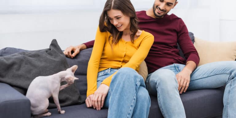 couple with sphynx cat
