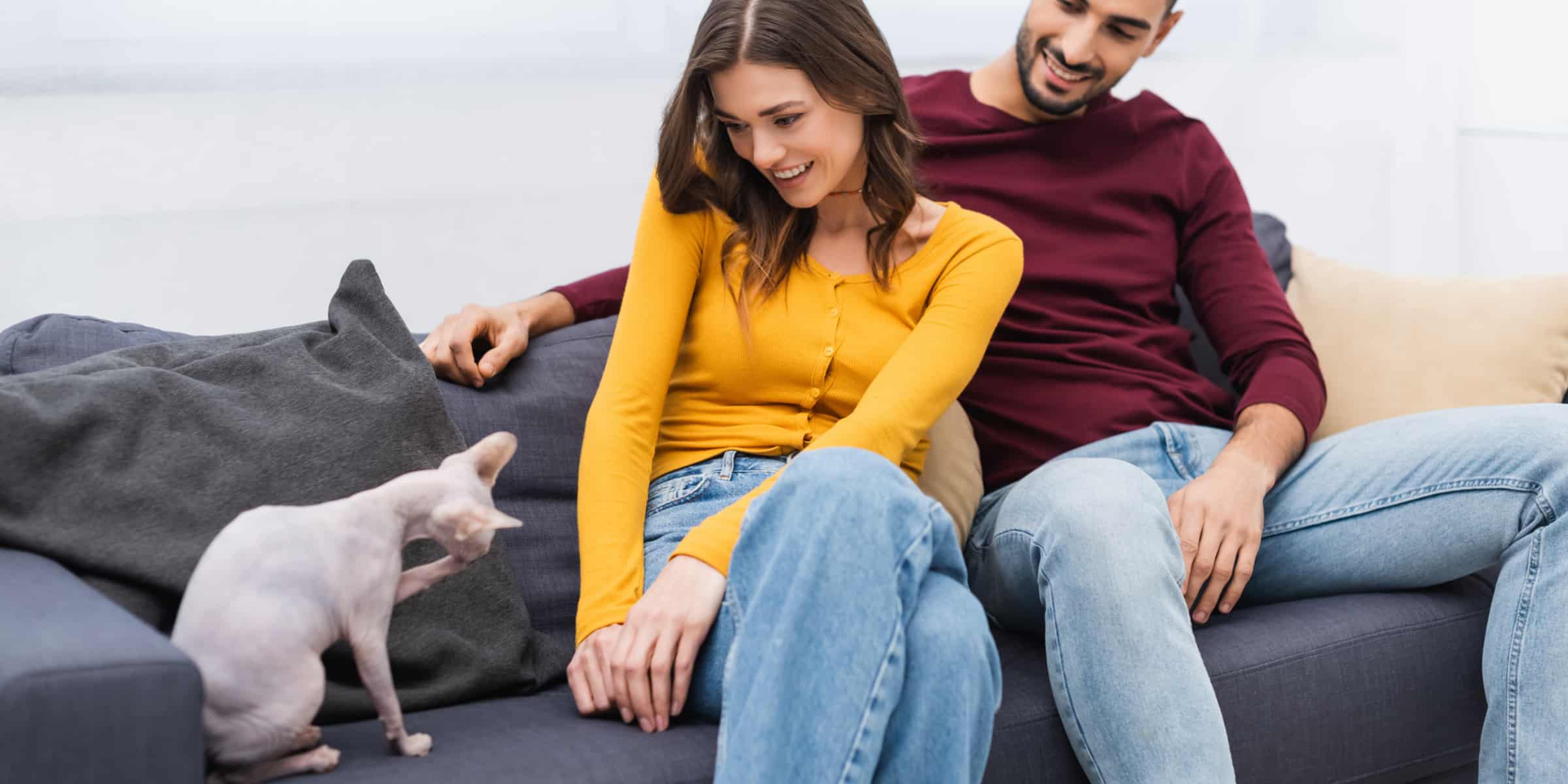 couple with sphynx cat