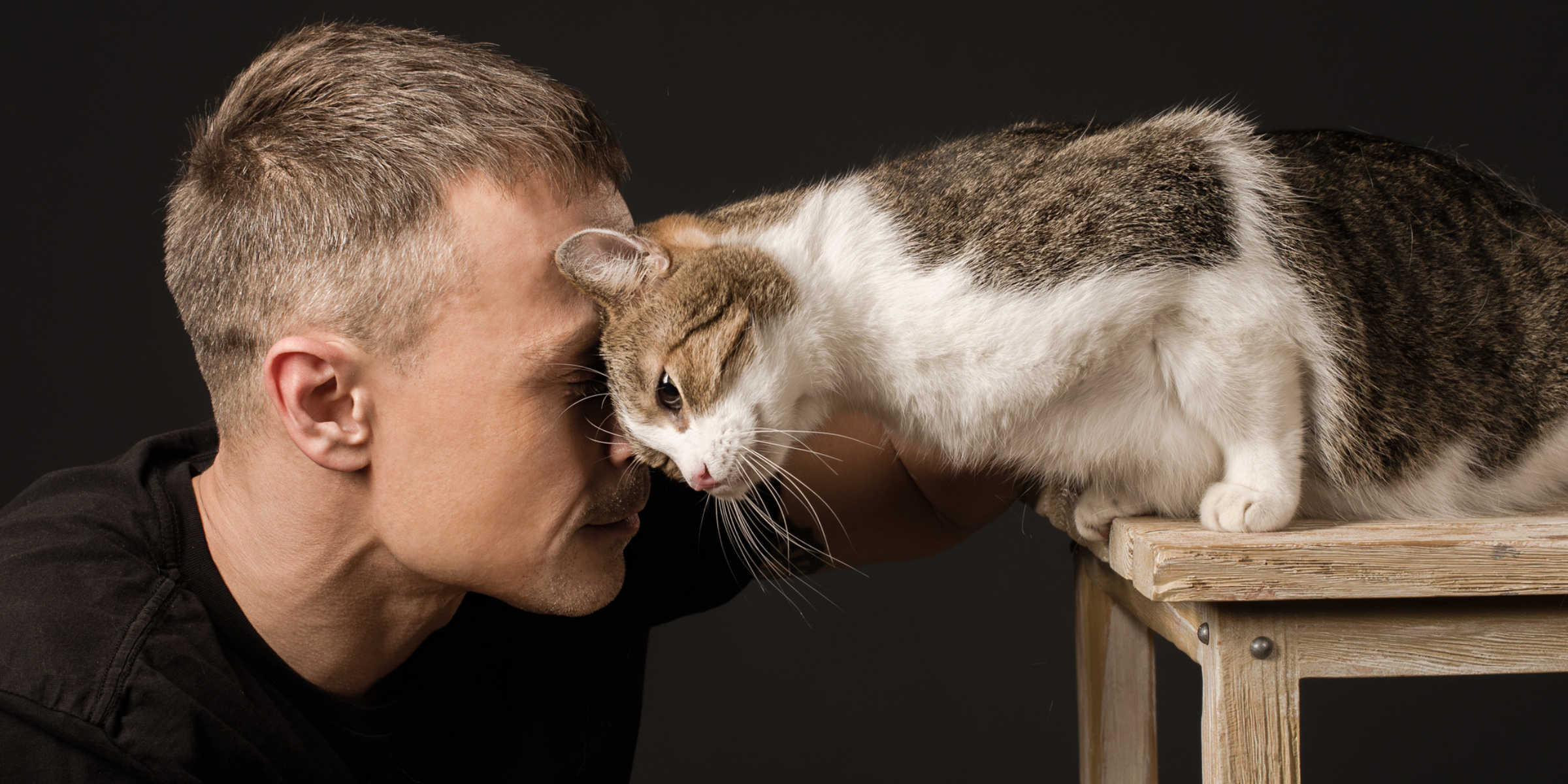 Should I Let My Cat Lick My Face