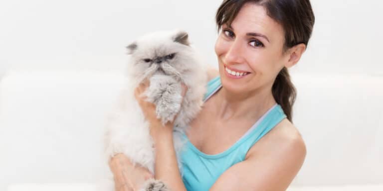 persian cat with woman