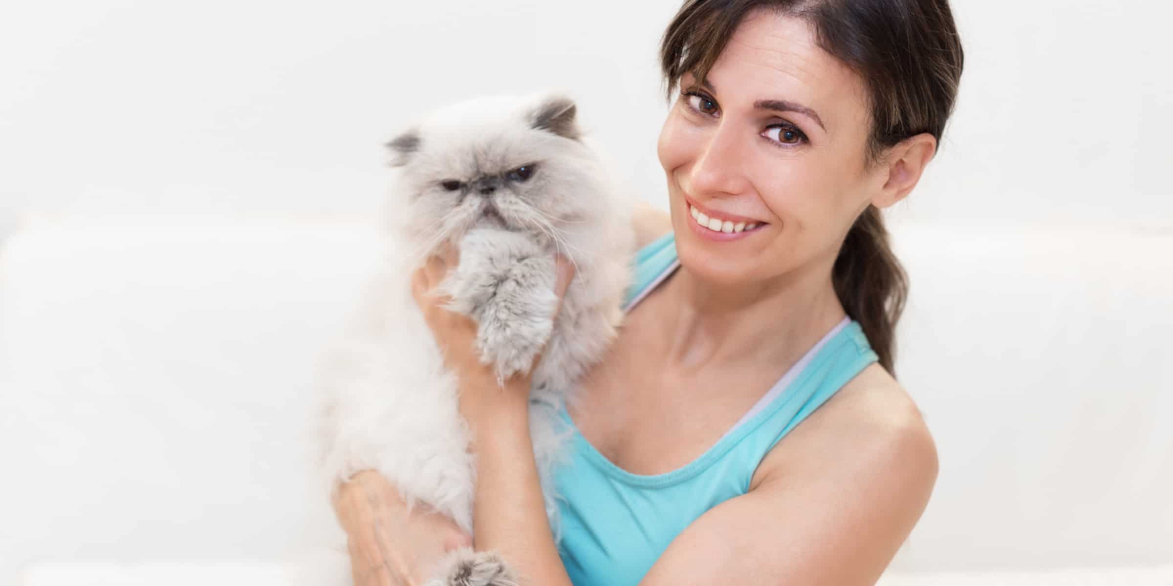 persian cat with woman