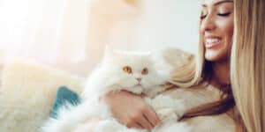 persian cat woman cuddle