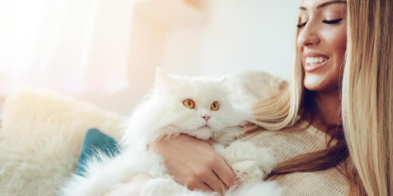 persian cat woman cuddle