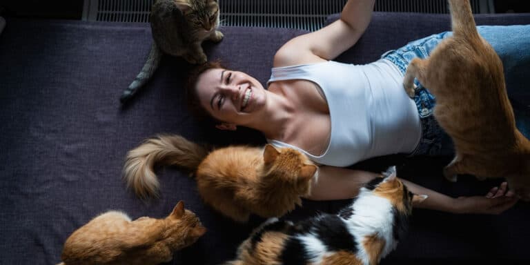 woman with lots of cats