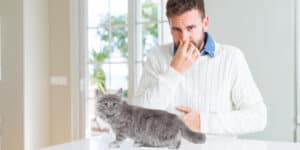 man holding nose due to cat fart