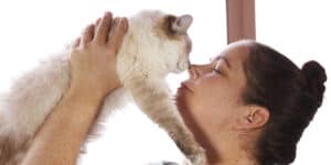 woman and cat touch nose