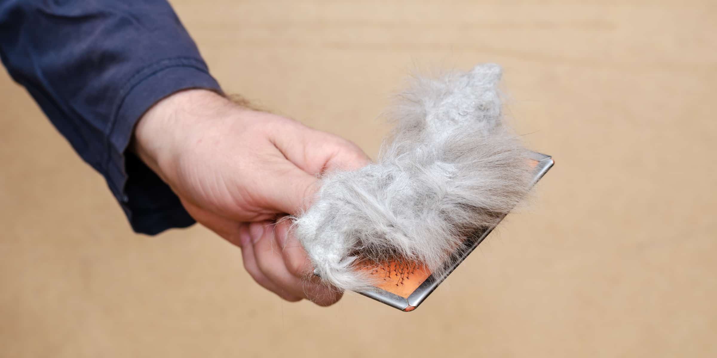 A man holding a brush with a gray fur.