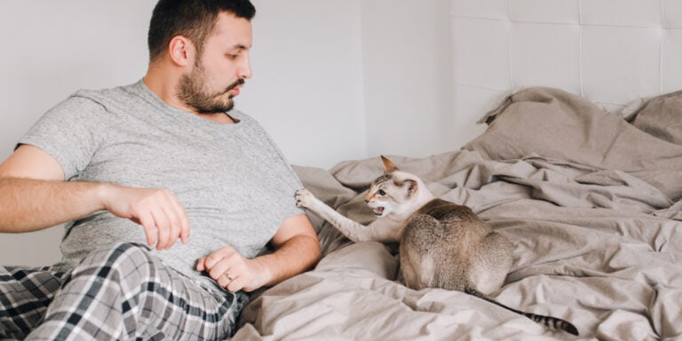 A man laying in bed with a cat.