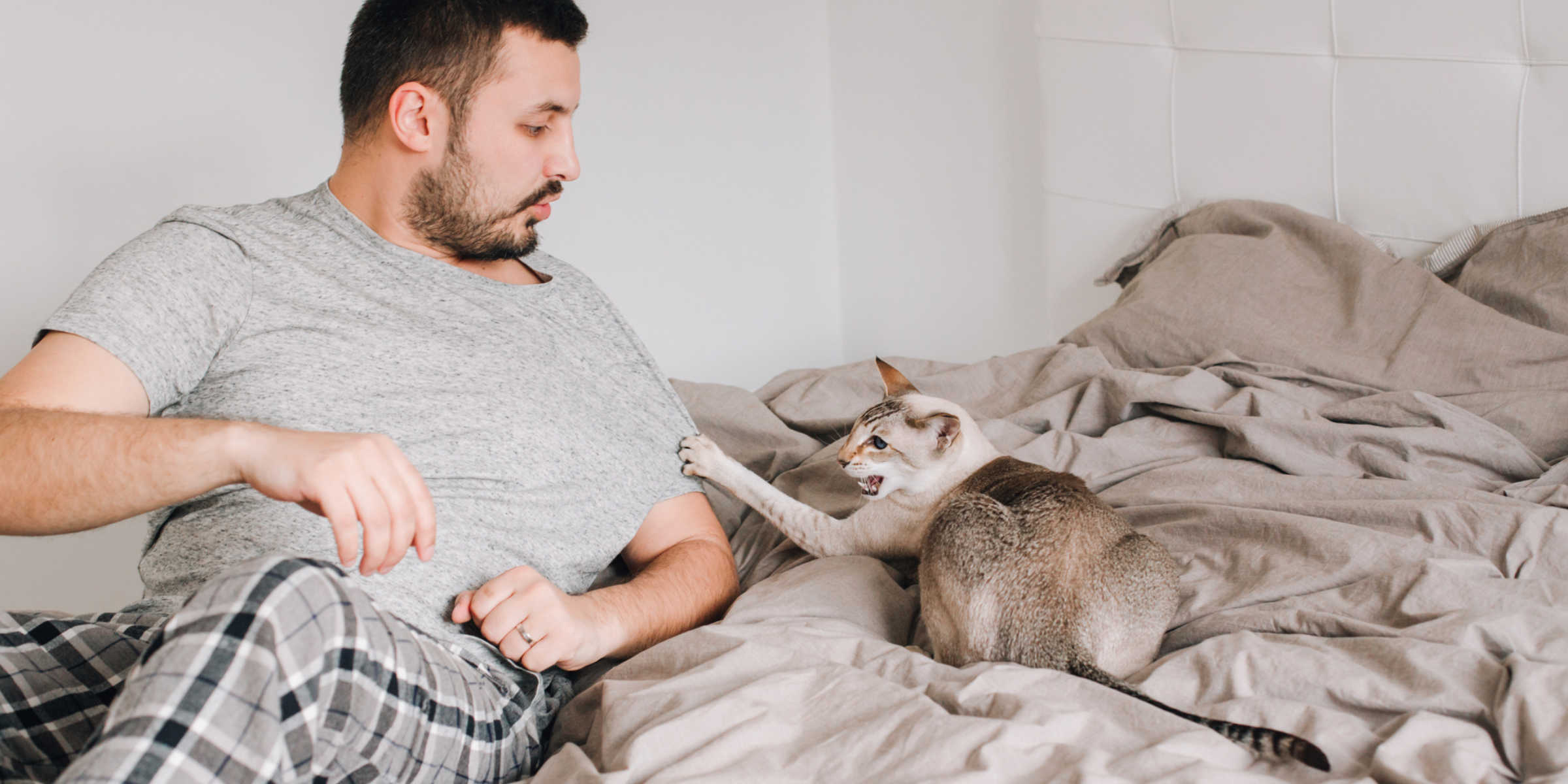 A man laying in bed with a cat.