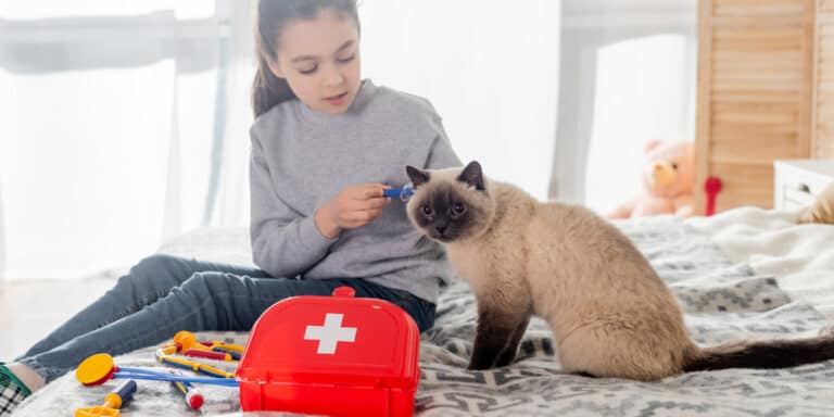 A girl is sitting on a bed with a cat next to her.