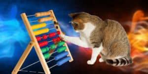 A cat playing with an abacus.