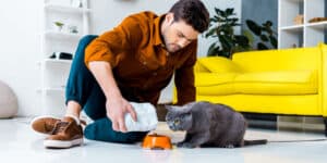 A man feeding a cat in his living room.