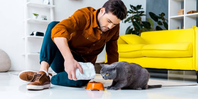 A man feeding a cat in his living room.