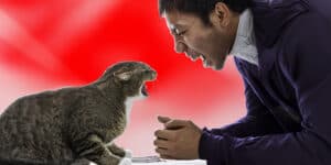 A man is yelling at a cat.
