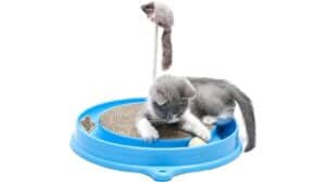 A gray cat playing with a blue scratching dish.
