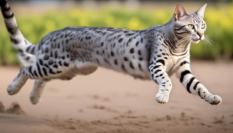 egyptian mau s surprising speed