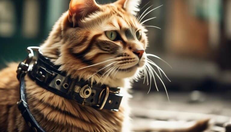 hidden danger of flea collars