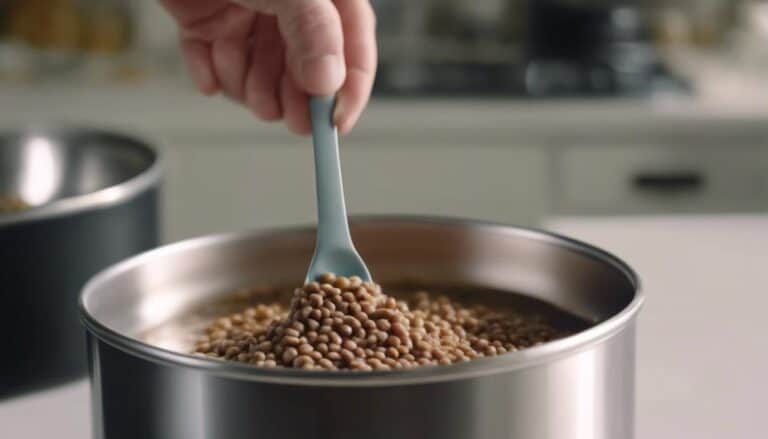 feeding cats wet food