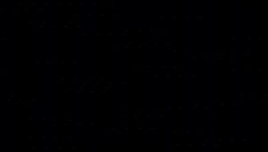 cat grooming made simple