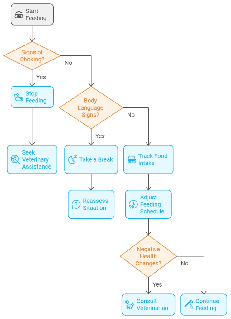 A flowchart showing steps for feeding, starting with checking for choking signs, then body language, food intake tracking, health changes, and instructions to continue feeding or seek veterinary help.