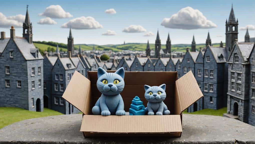 aberdeen cat rehoming guide