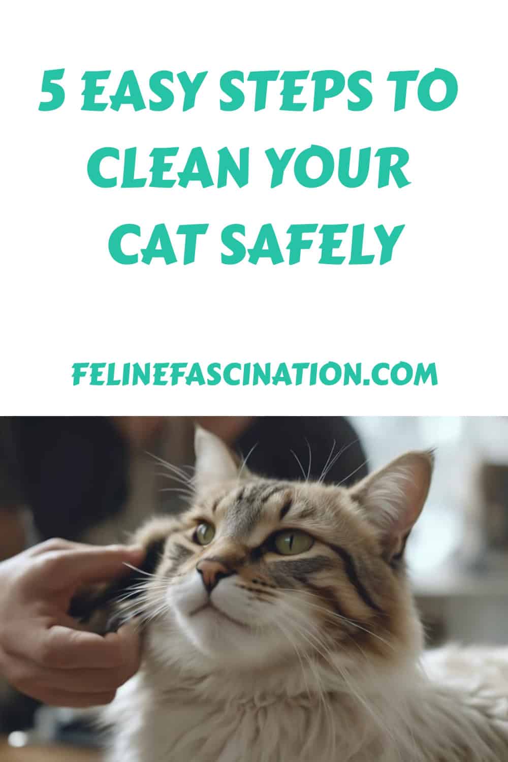 A person's hand gently brushing a relaxed, long-haired cat. Text above reads "5 Easy Steps to Clean Your Cat Safely," with a website link "felinefascination.com.