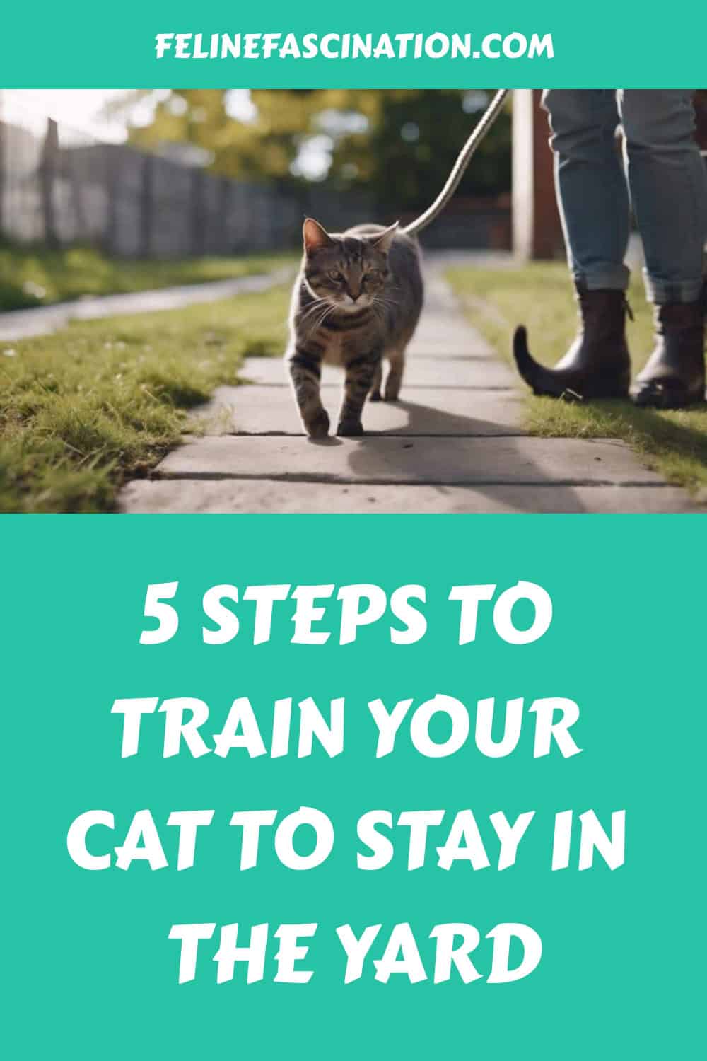 A person walking a cat on a leash on a sidewalk, with text "5 Steps to Train Your Cat to Stay in the Yard" and the website "felinefascination.com" at the top.