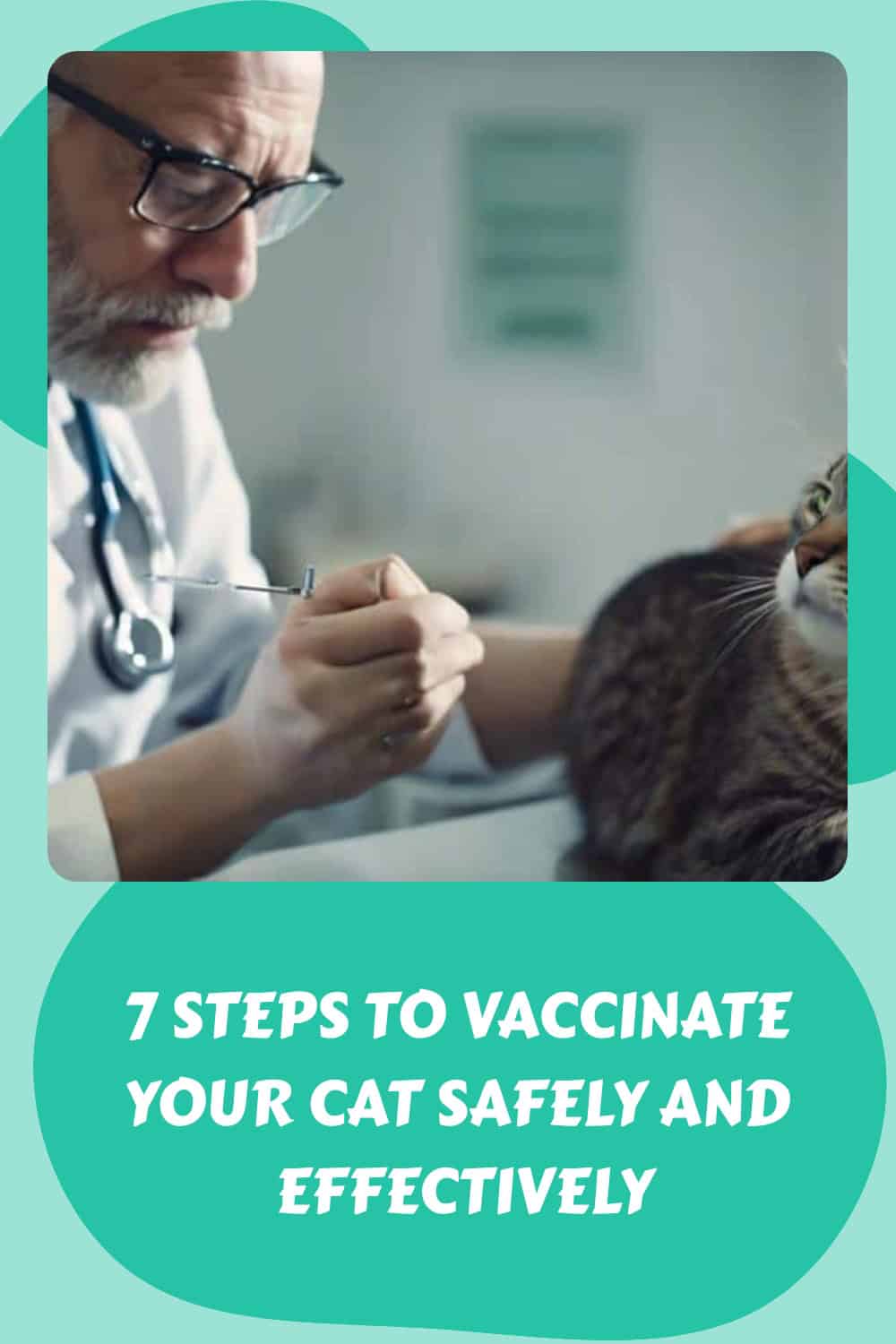 A veterinarian prepares to vaccinate a cat. Text below reads, "7 Steps to Vaccinate Your Cat Safely and Effectively.