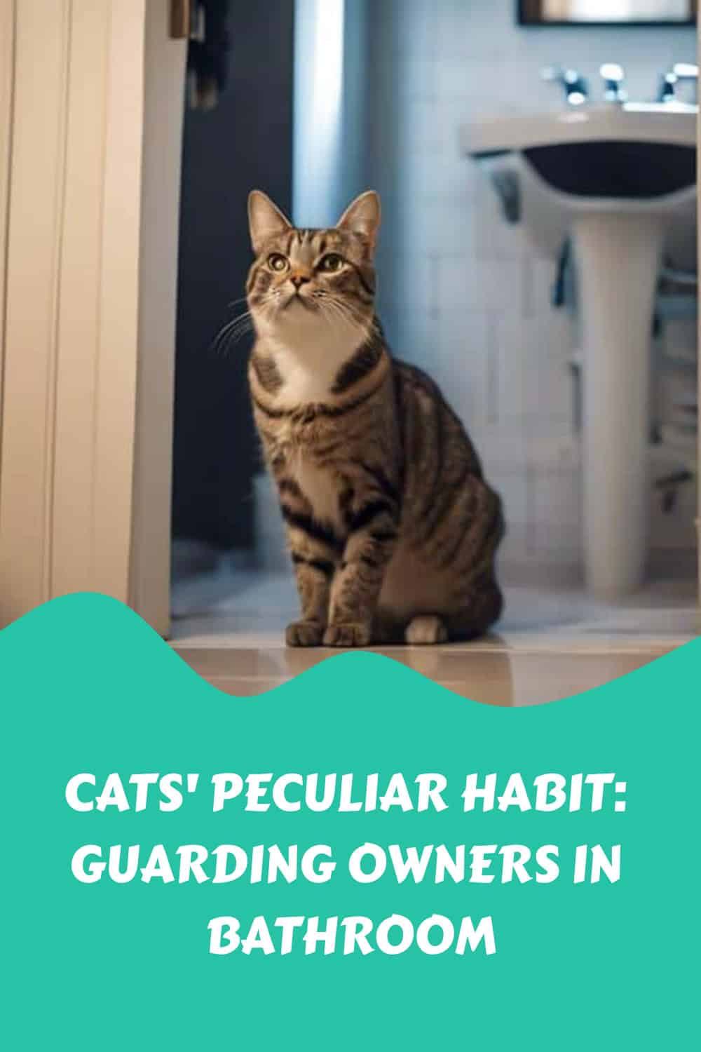 A tabby cat sits in a bathroom doorway. The bottom text reads, "CATS' PECULIAR HABIT: GUARDING OWNERS IN BATHROOM.