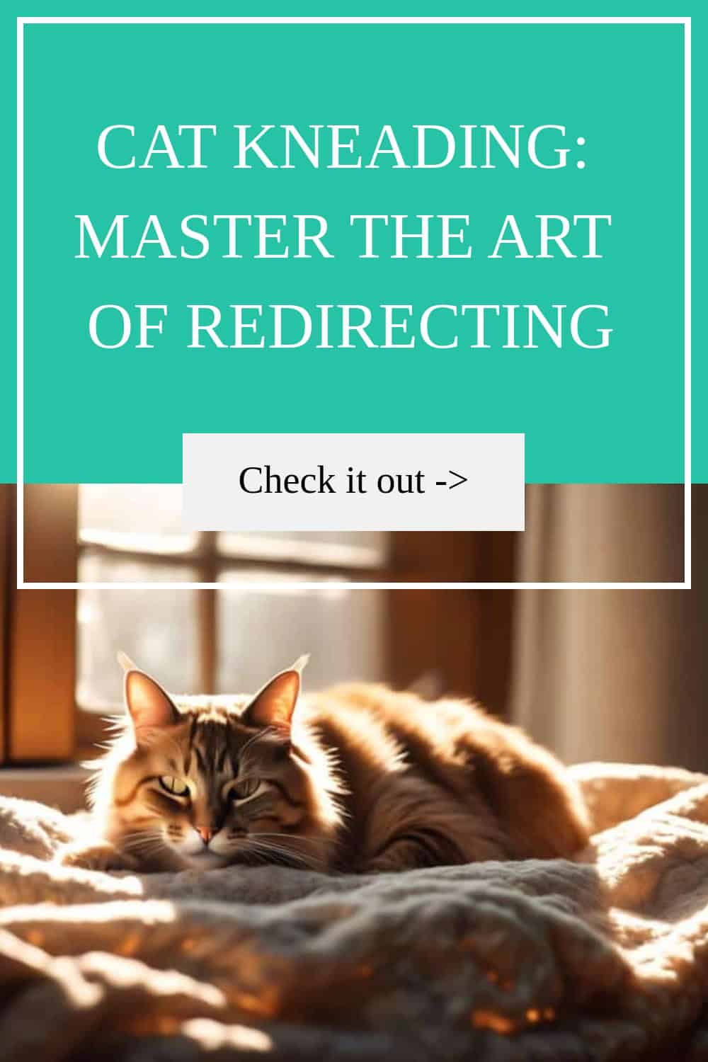 A cat lying on a bed near a window with a text overlay that reads: "Cat Kneading: Master the Art of Redirecting. Check it out ->".