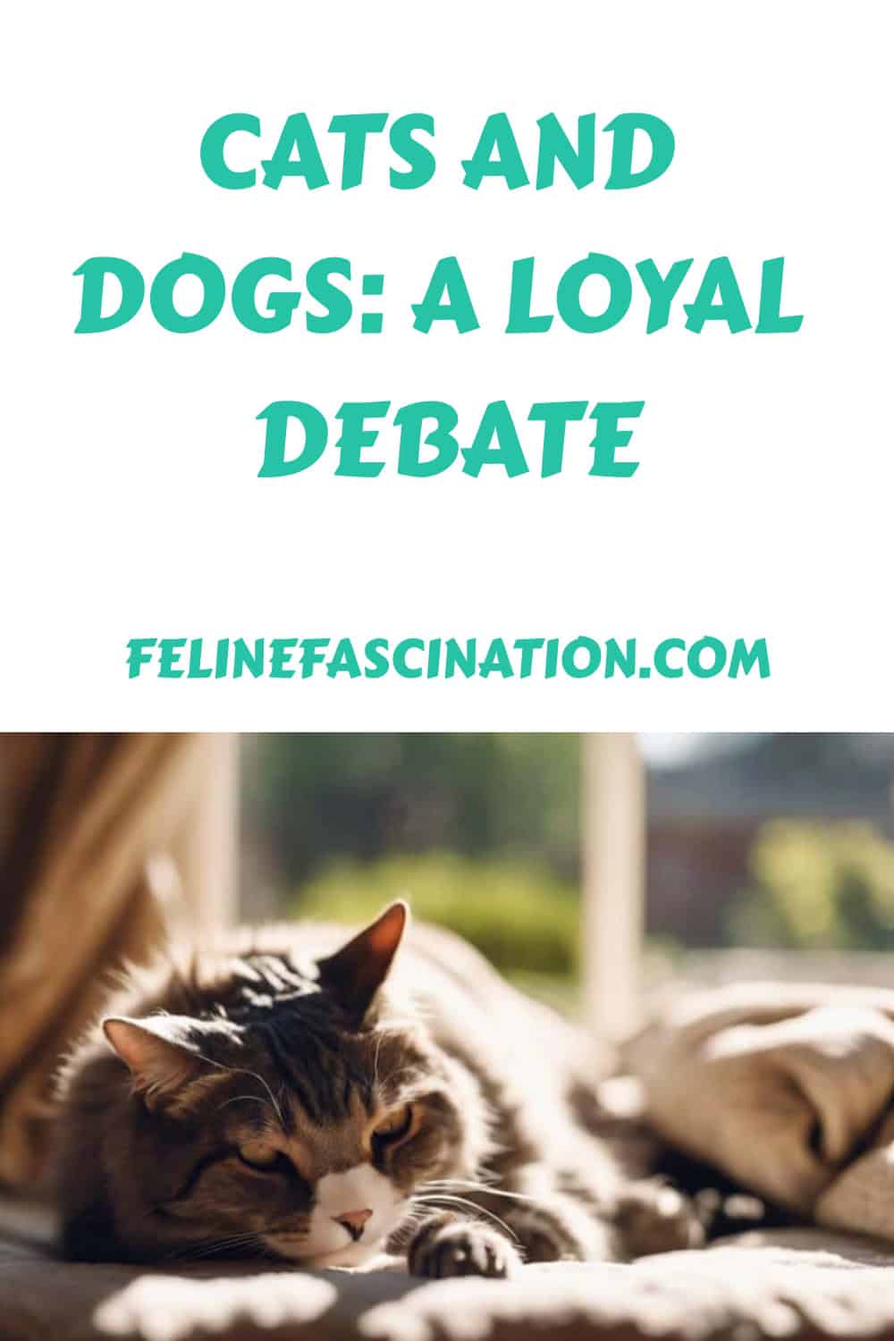 A cat resting on a blanket below text that reads "Cats and Dogs: A Loyal Debate" with a website link "felinefascination.com" underneath.