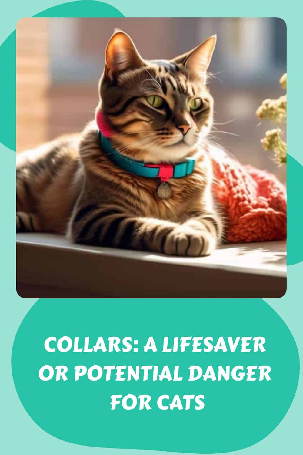 A tabby cat with a collar rests on a windowsill. Text below the image reads, "Collars: A Lifesaver or Potential Danger for Cats.