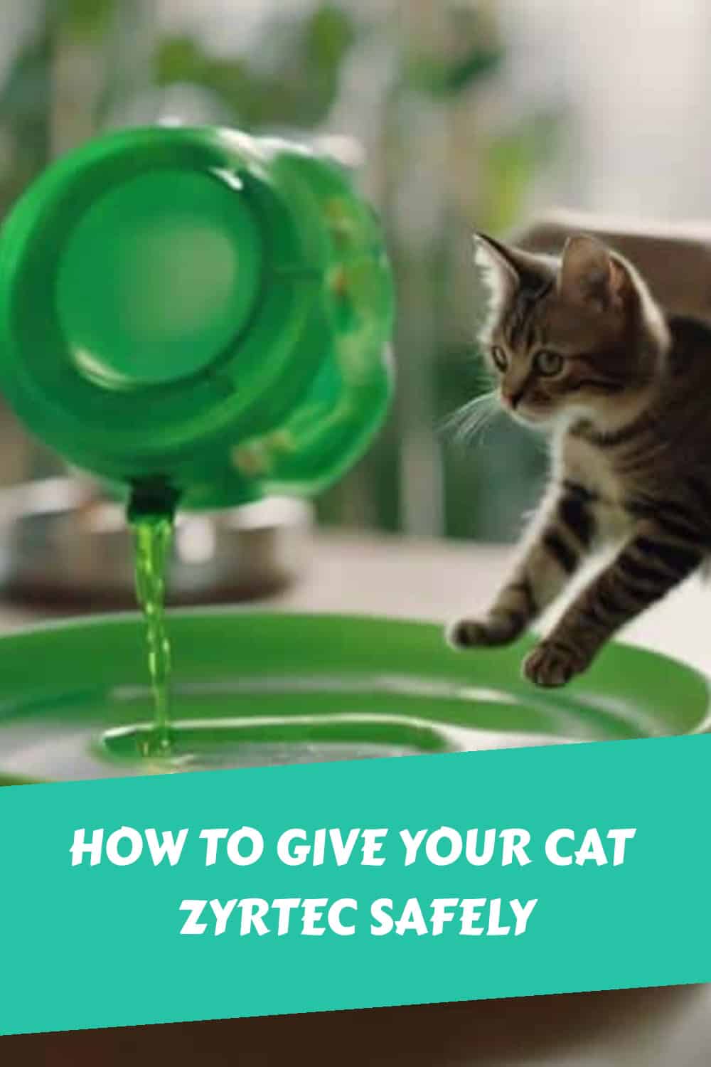 A cat nearing a green liquid dispenser. Text overlay reads "How to Give Your Cat Zyrtec Safely.