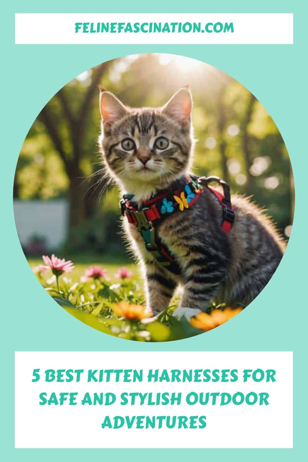 Kitten wearing a colorful harness sits outdoors among flowers, with text: "5 Best Kitten Harnesses for Safe and Stylish Outdoor Adventures." Website: felinefascination.com.