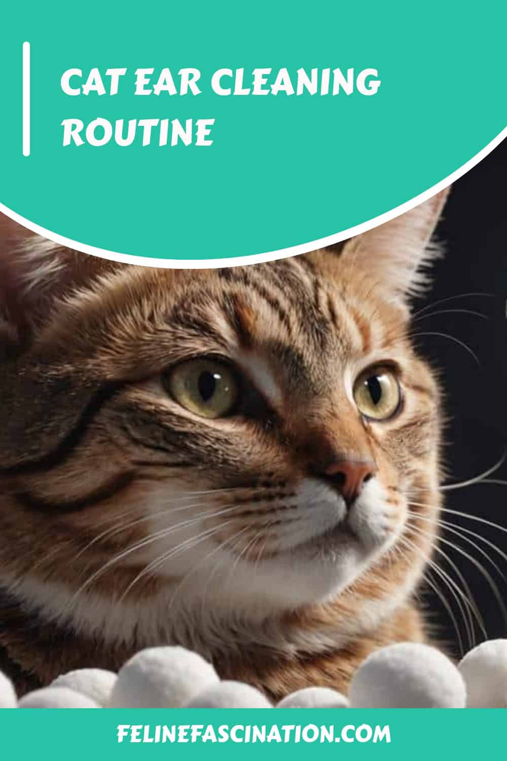 Close-up of a cat with tabby fur against a green and white graphic background. Text reads "Cat Ear Cleaning Routine" and "felinefascination.com.
