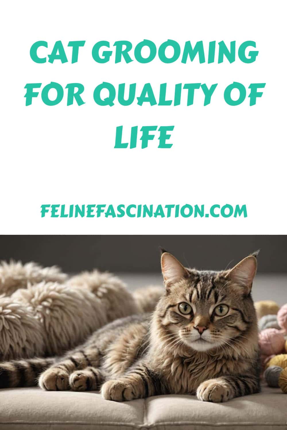 A tabby cat lying on a cozy bed with the text "Cat Grooming for Quality of Life" and "felinefascination.com" above.
