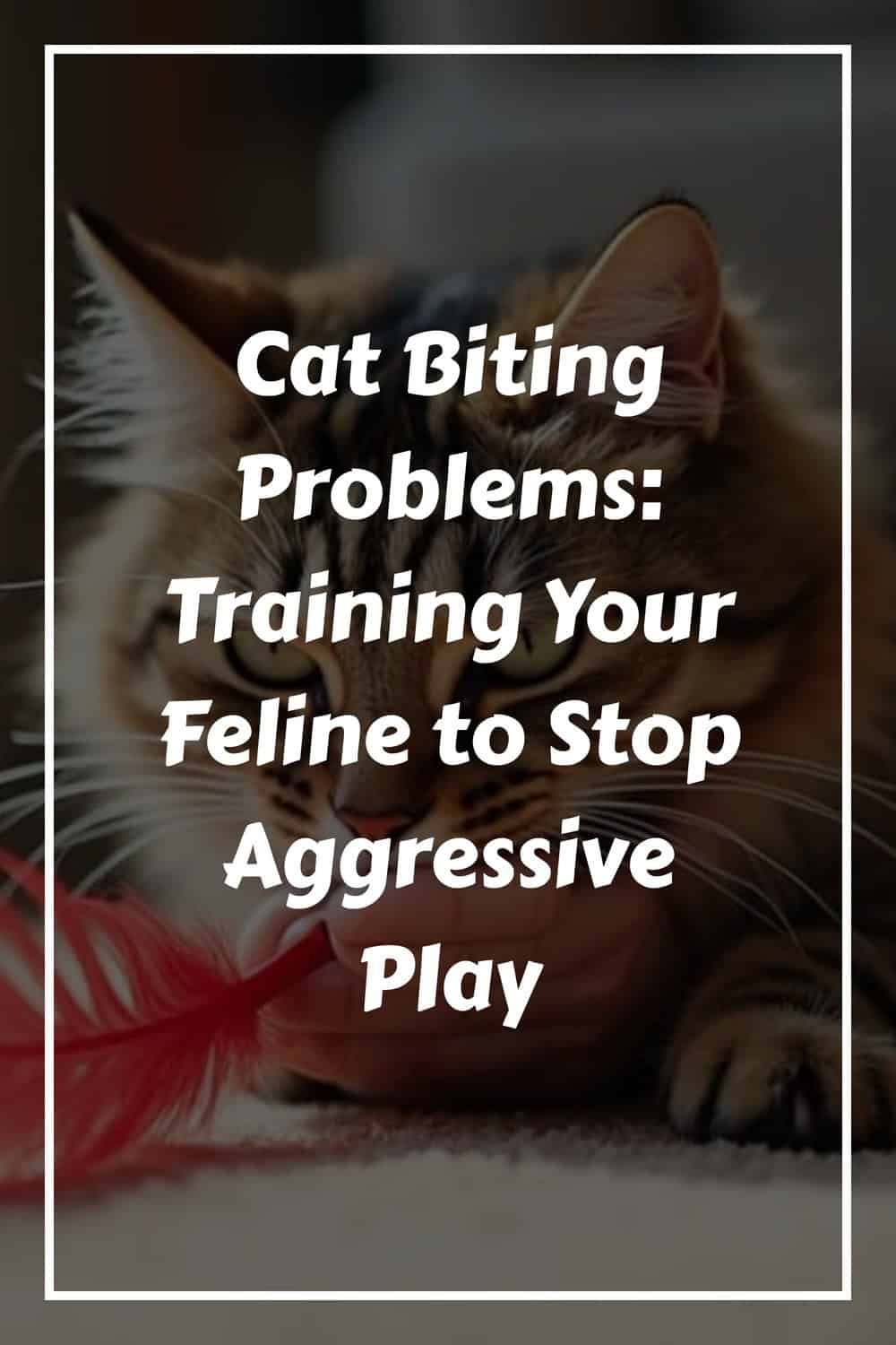 A cat plays with a red feather toy. Text overlay reads: "Cat Biting Problems: Training Your Feline to Stop Aggressive Play.